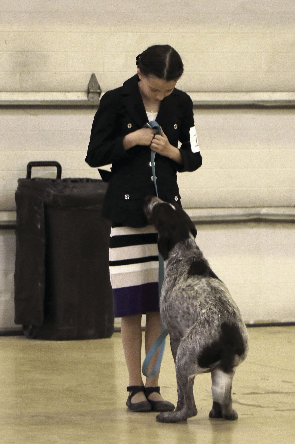 PHOTOS: 2022 AKC Dog Show